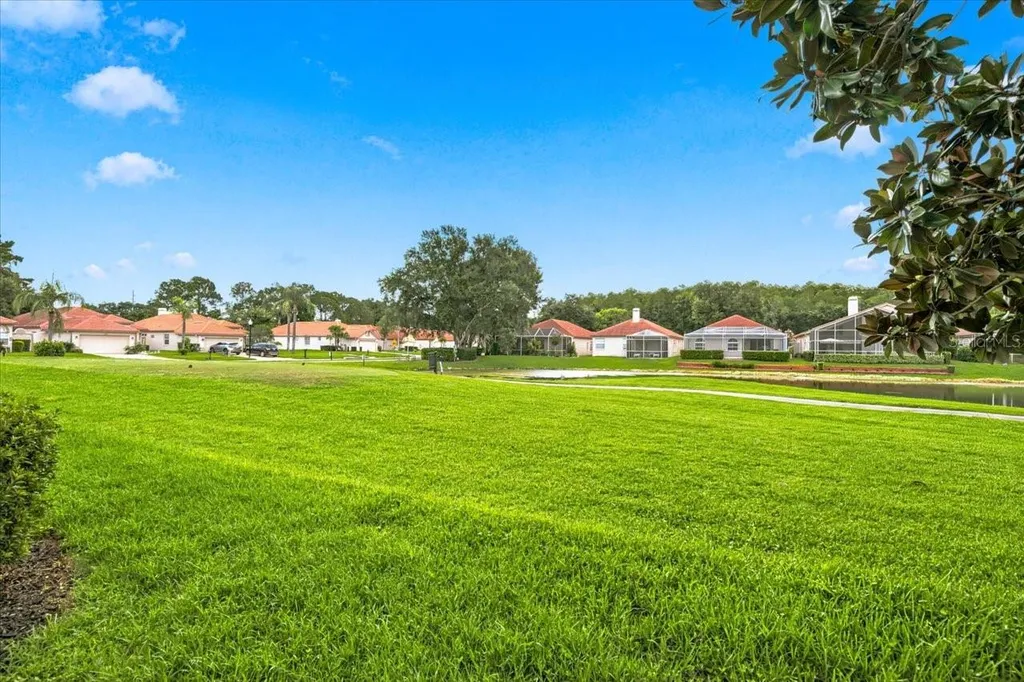 1333 Lindenwood Drive Tarpon Springs FL 34688