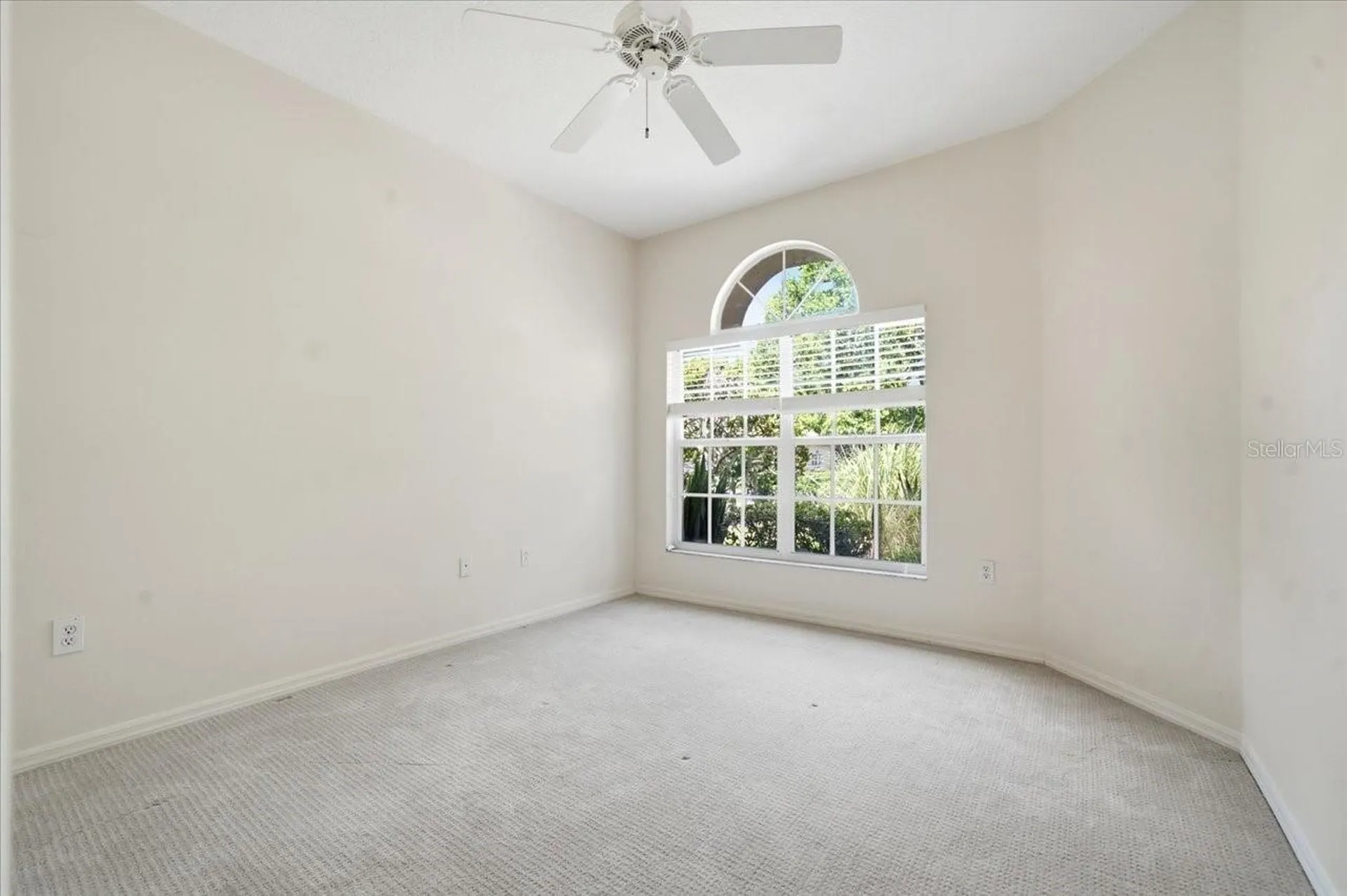 1333 Lindenwood Drive Tarpon Springs FL 34688