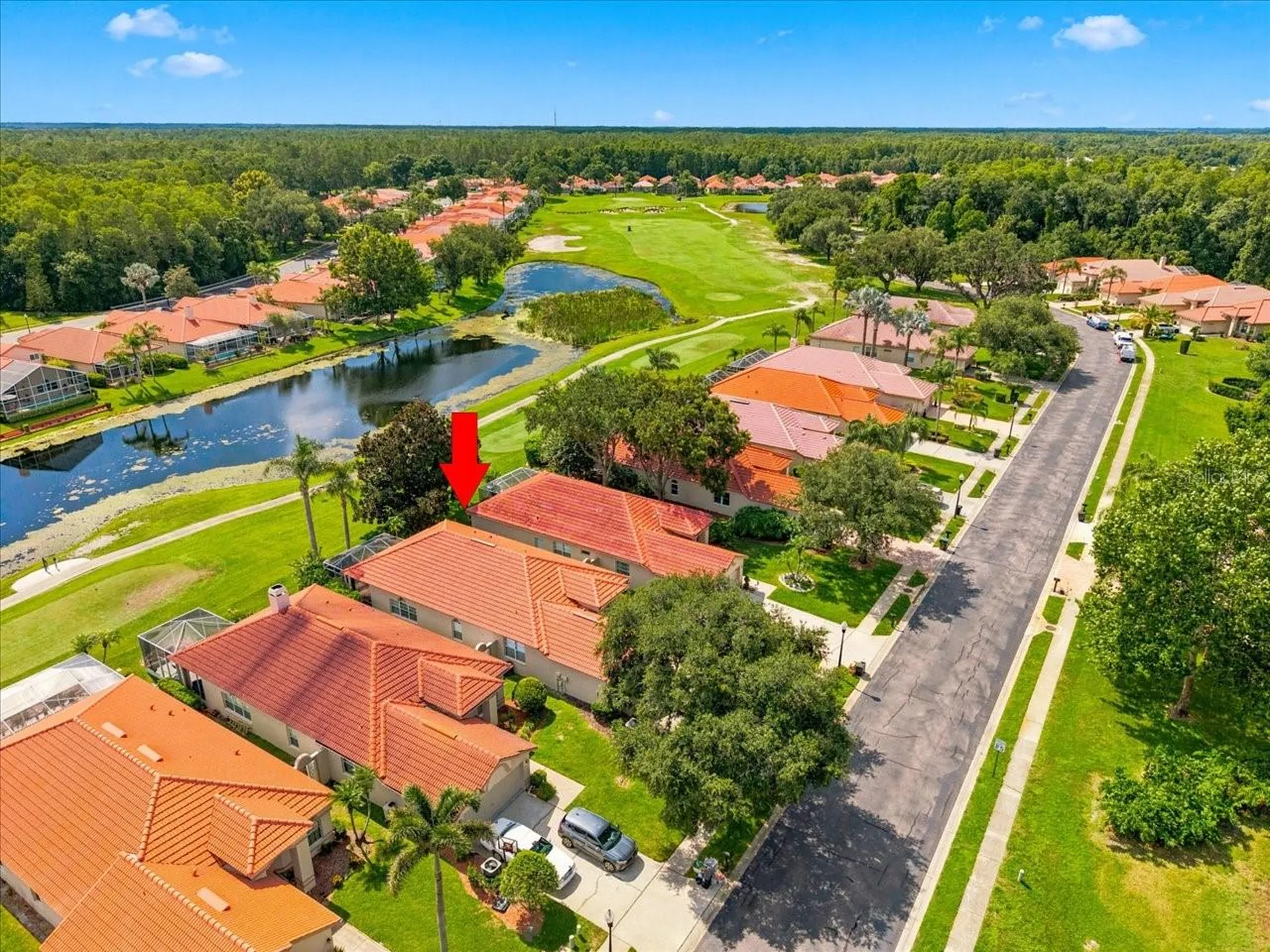 1333 Lindenwood Drive Tarpon Springs FL 34688