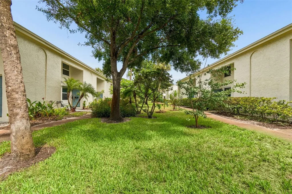 4223 La Palma Court Tampa FL 33611