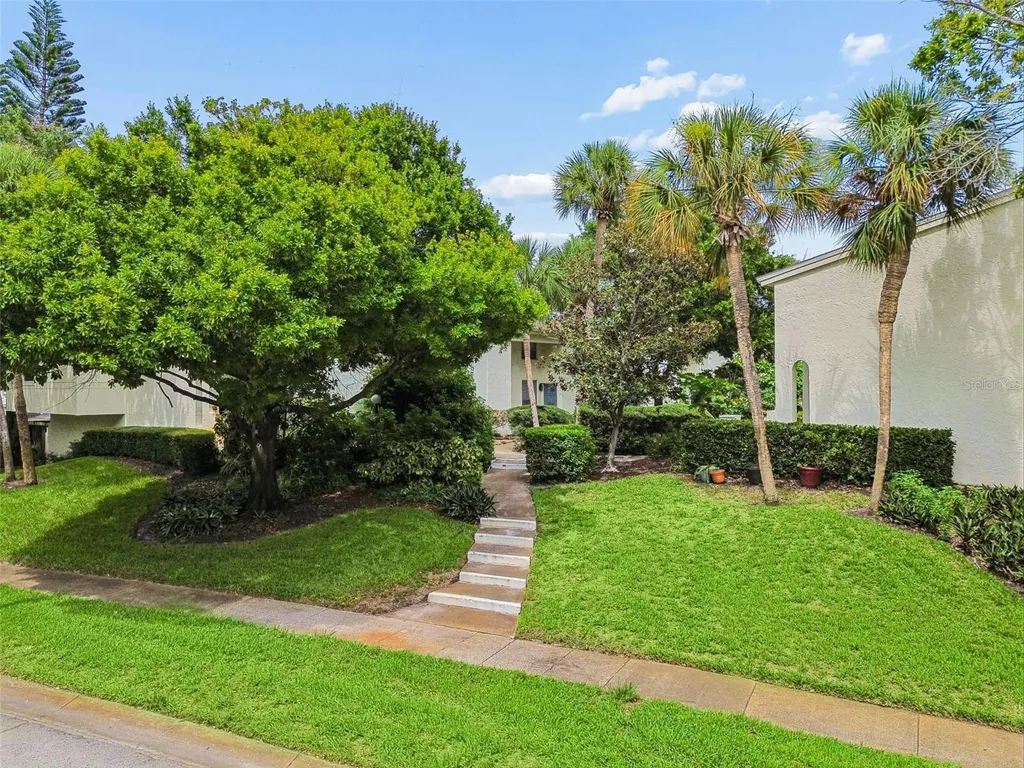 4223 La Palma Court Tampa FL 33611