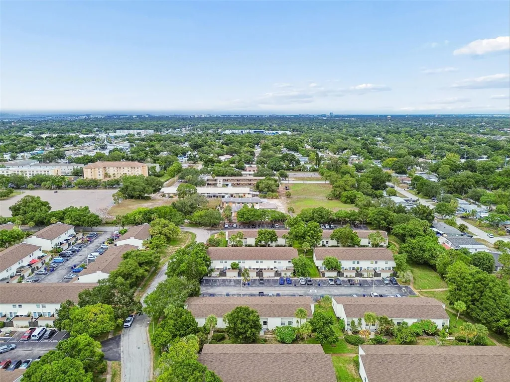 4223 La Palma Court Tampa FL 33611