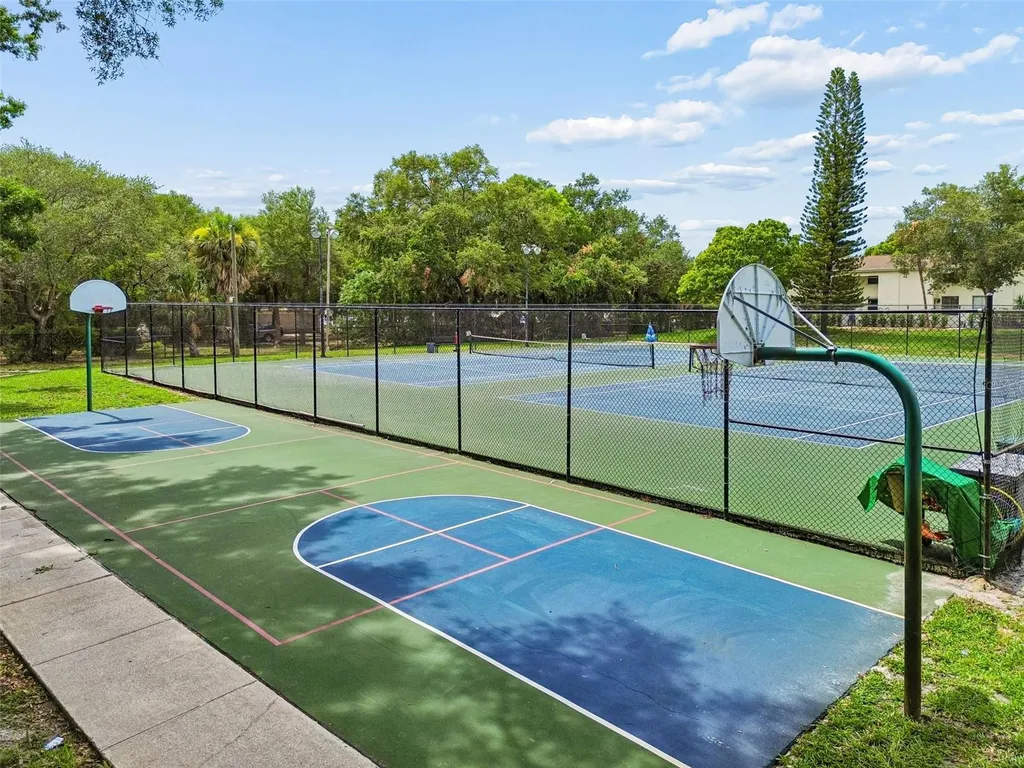 4223 La Palma Court Tampa FL 33611