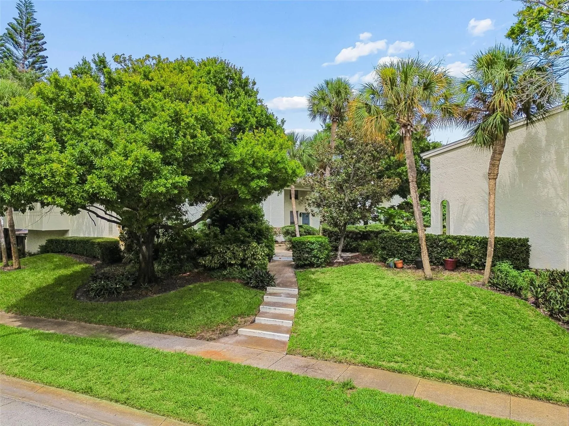 4223 La Palma Court Tampa FL 33611