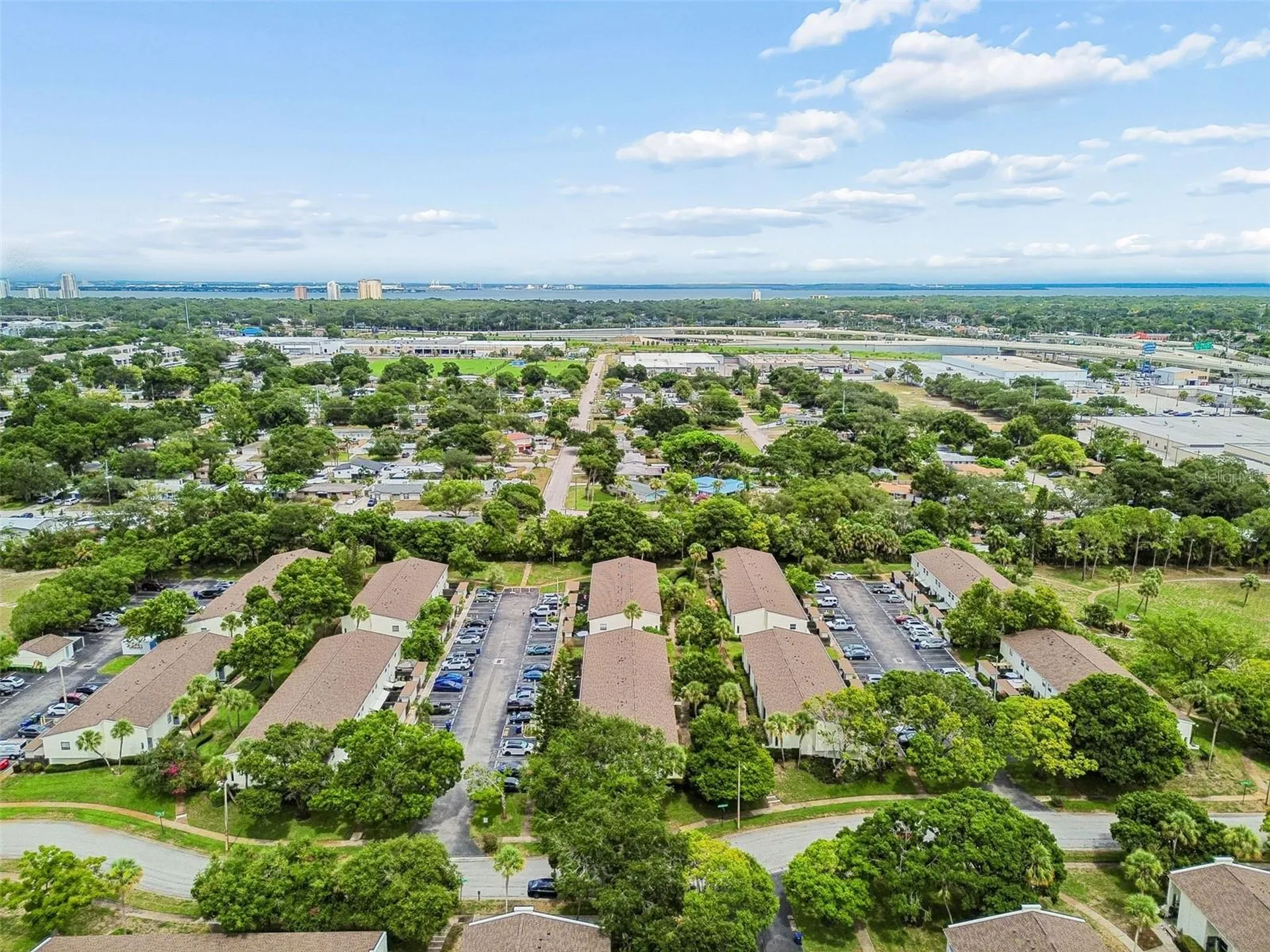 4223 La Palma Court Tampa FL 33611