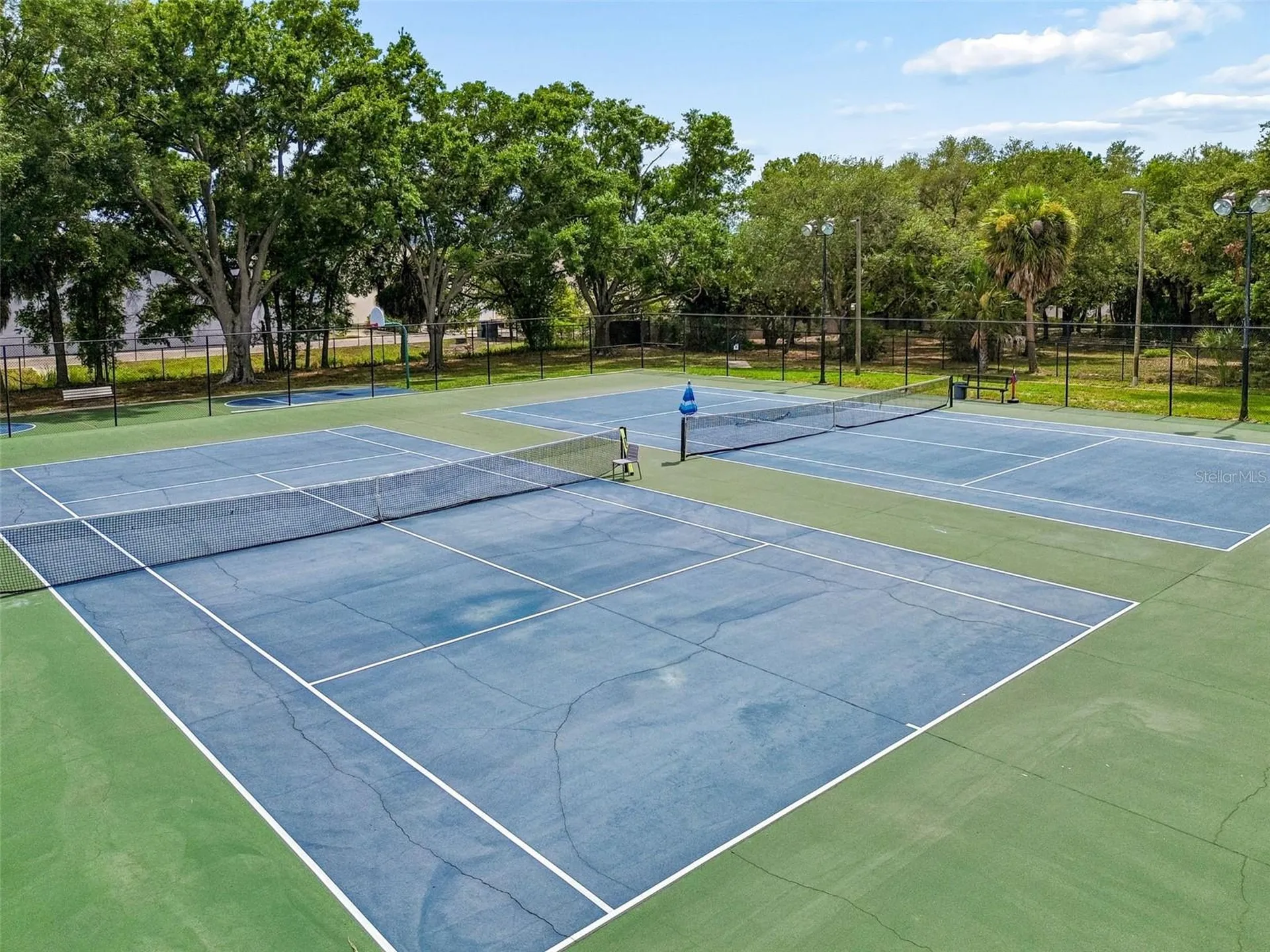 4223 La Palma Court Tampa FL 33611