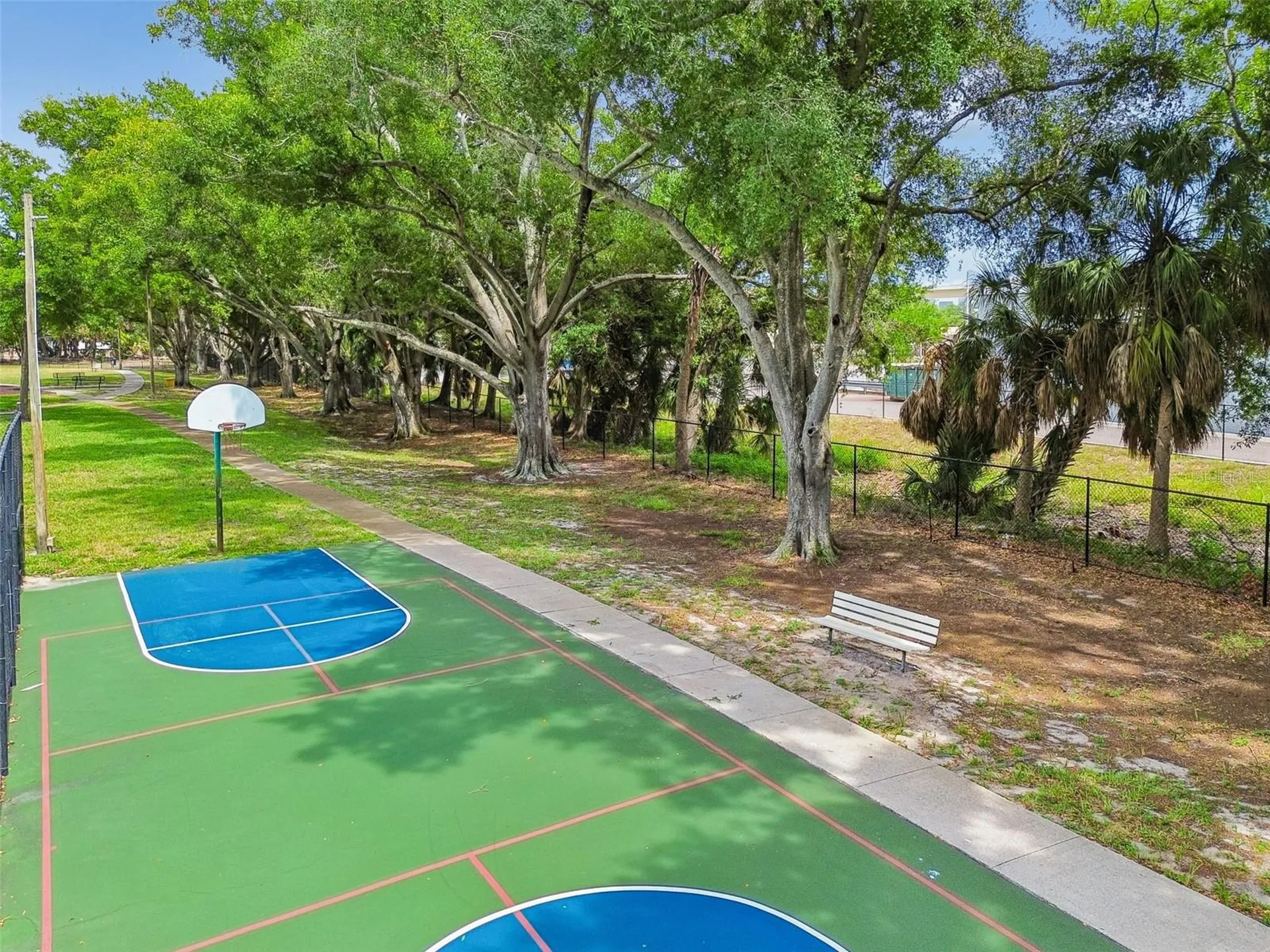 4223 La Palma Court Tampa FL 33611