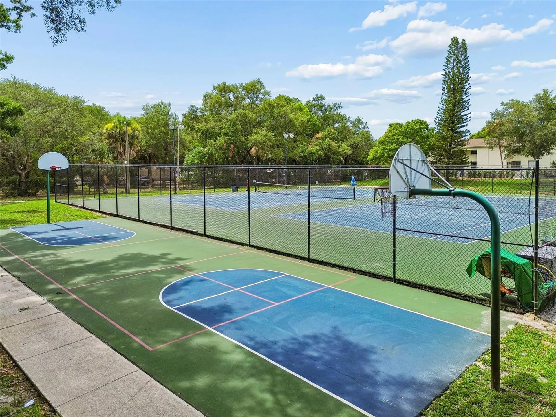 4223 La Palma Court Tampa FL 33611