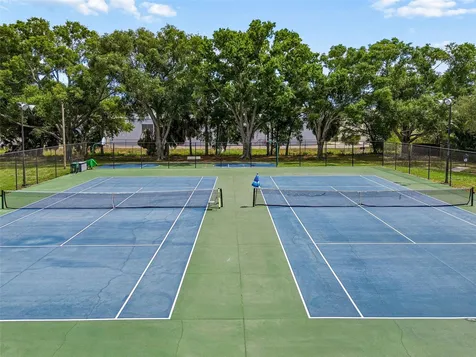 4223 La Palma Court Tampa FL 33611