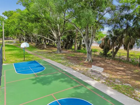 4223 La Palma Court Tampa FL 33611