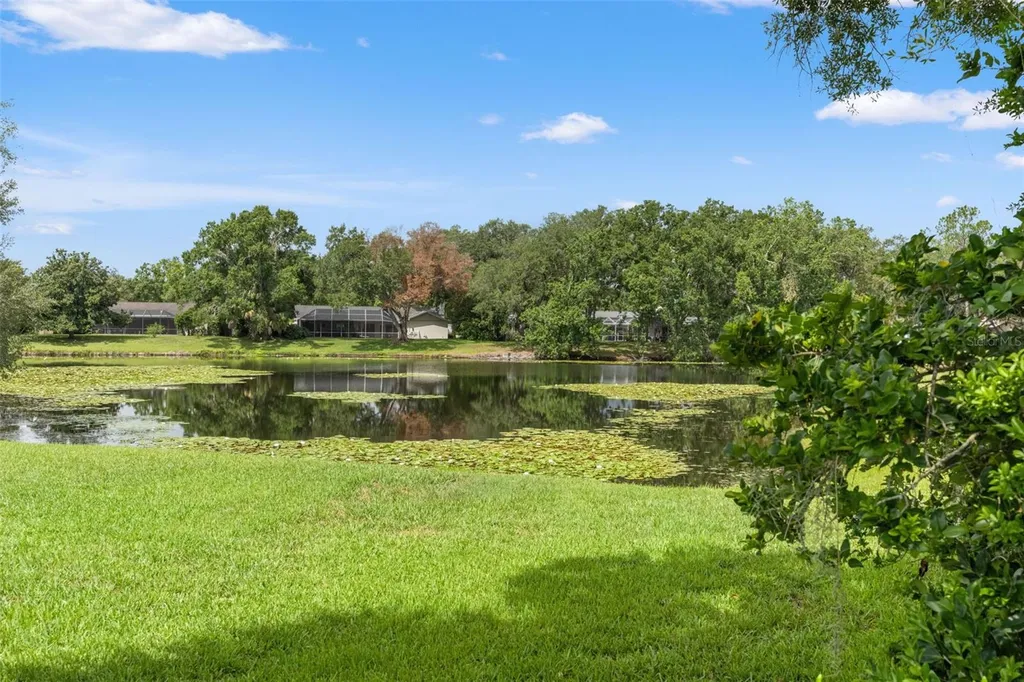 13916 Middle Park Drive Tampa FL 33624