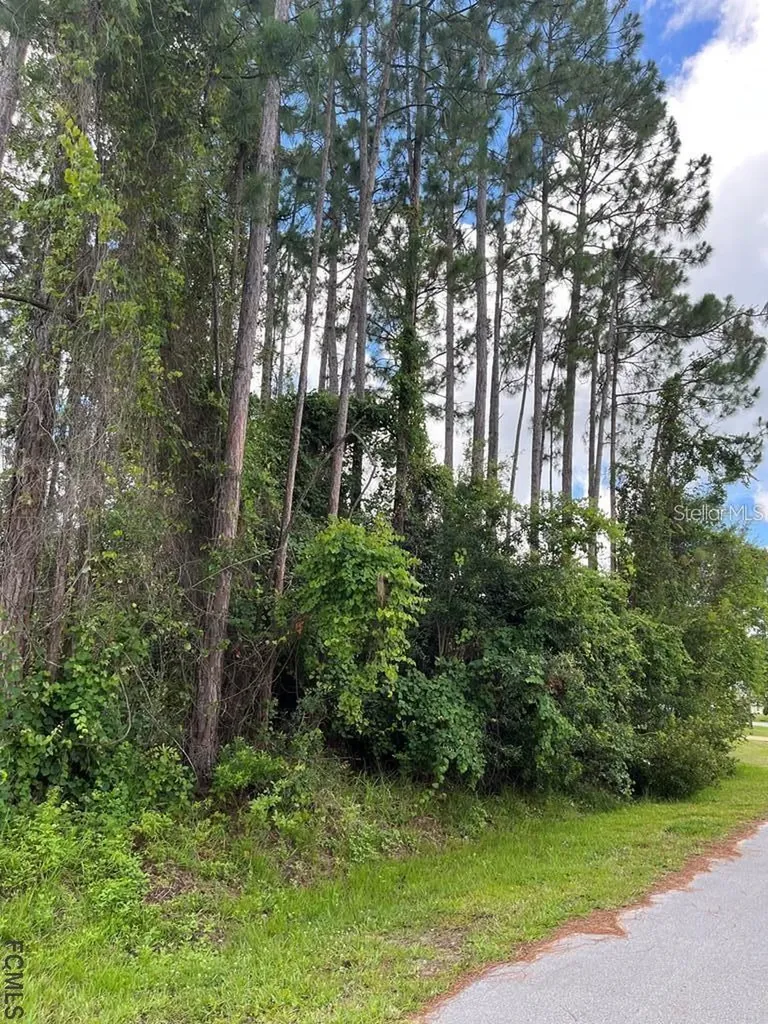 85 Port Royal Drive Palm Coast FL 32164