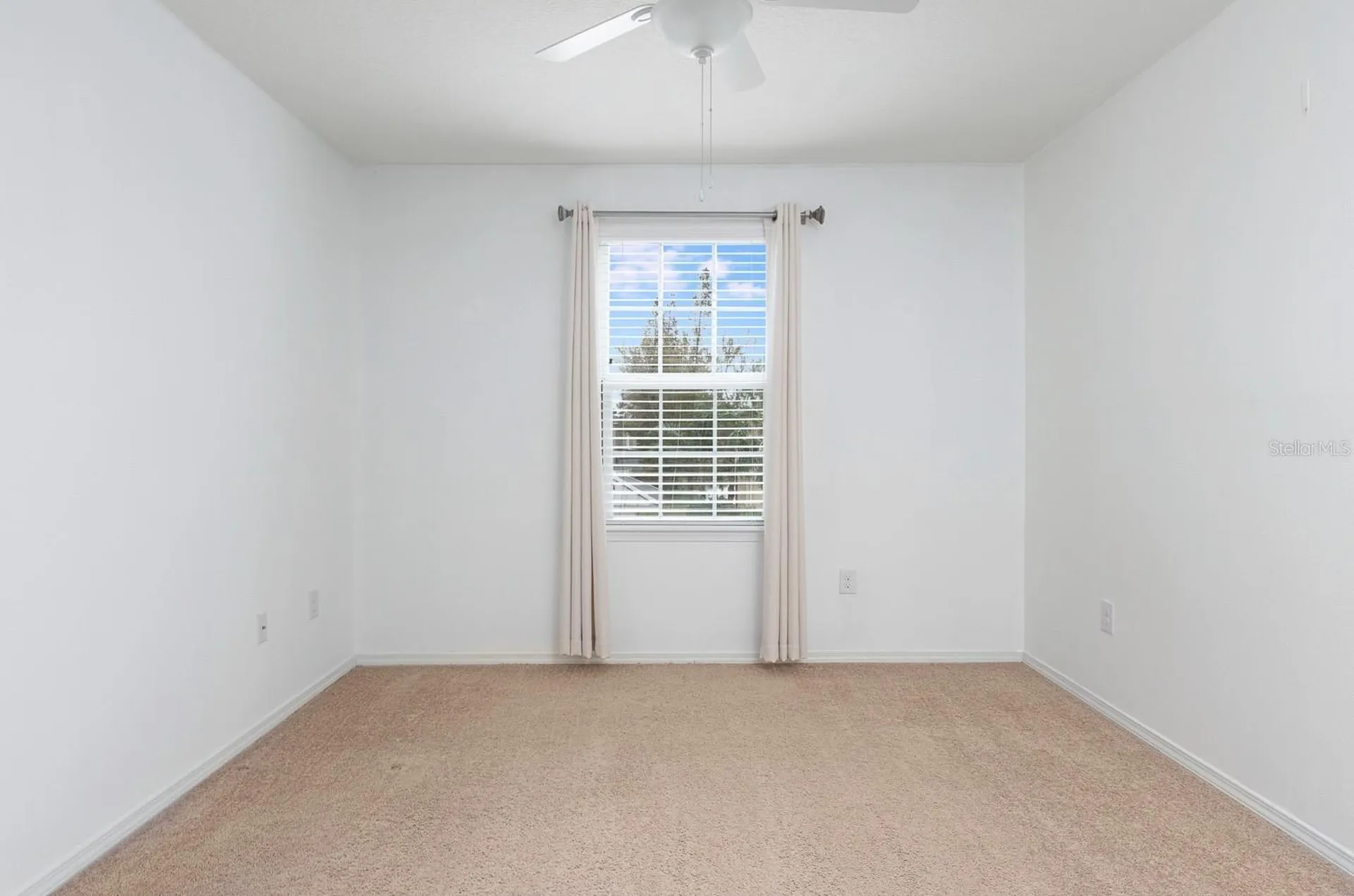 4770 White Sanderling Court Tampa FL 33619