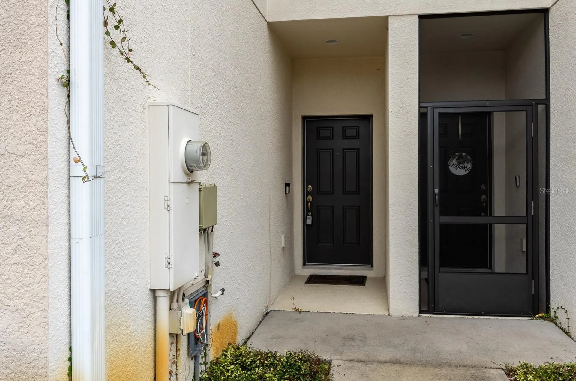 4770 White Sanderling Court Tampa FL 33619