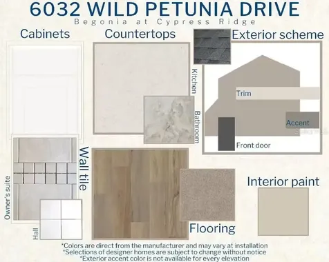 6032 Wild Petunia Drive Wimauma FL 33598