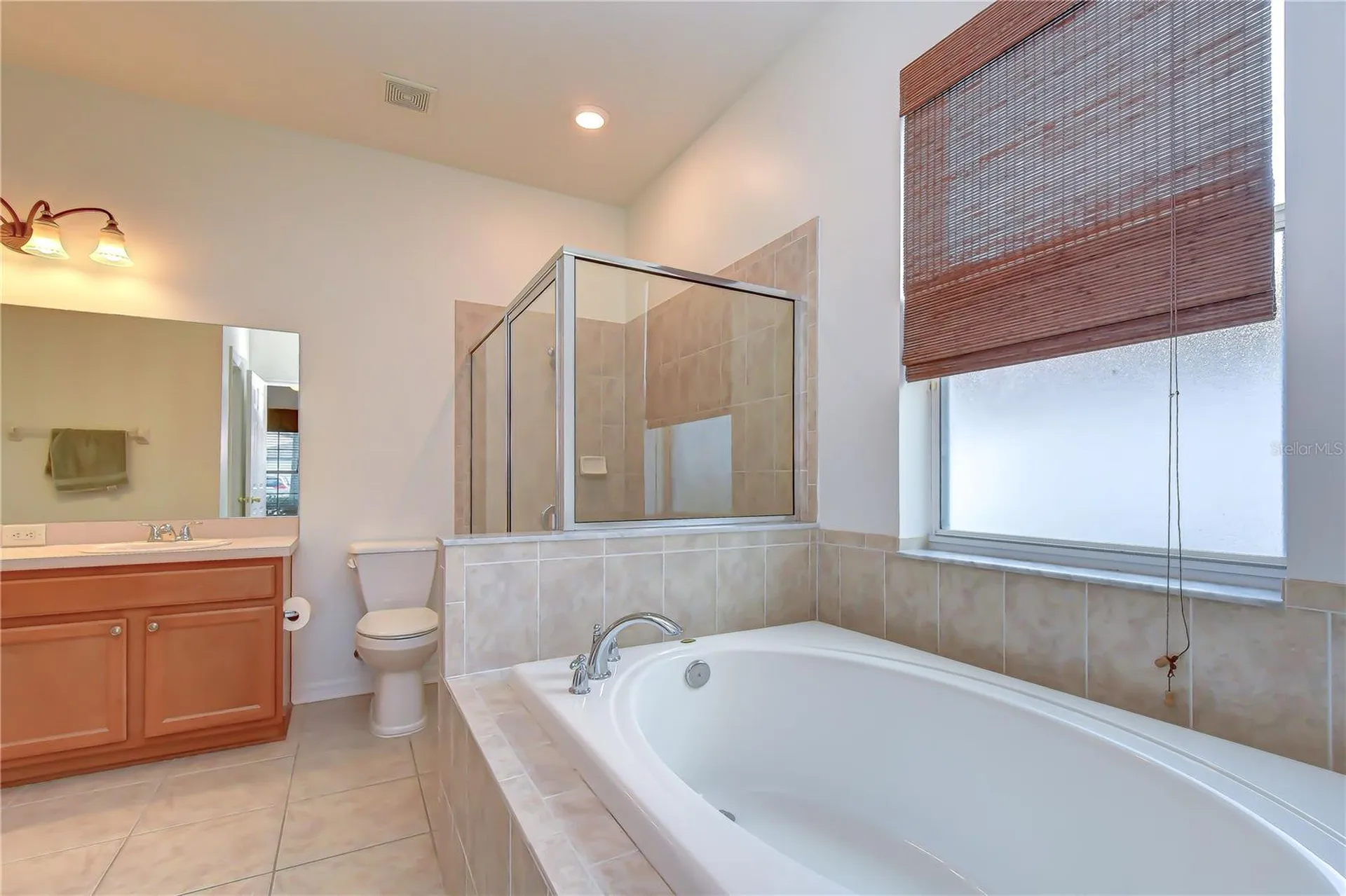 426 Summerlyn Drive Valrico FL 33594