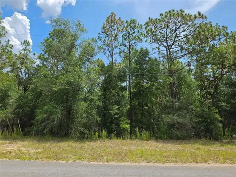 8425 N Foresome Way Dunnellon FL 34434