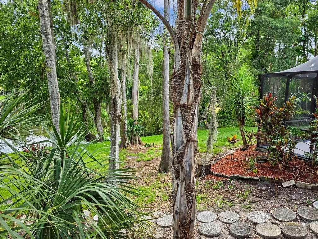 2202 Amity Court New Port Richey FL 34655