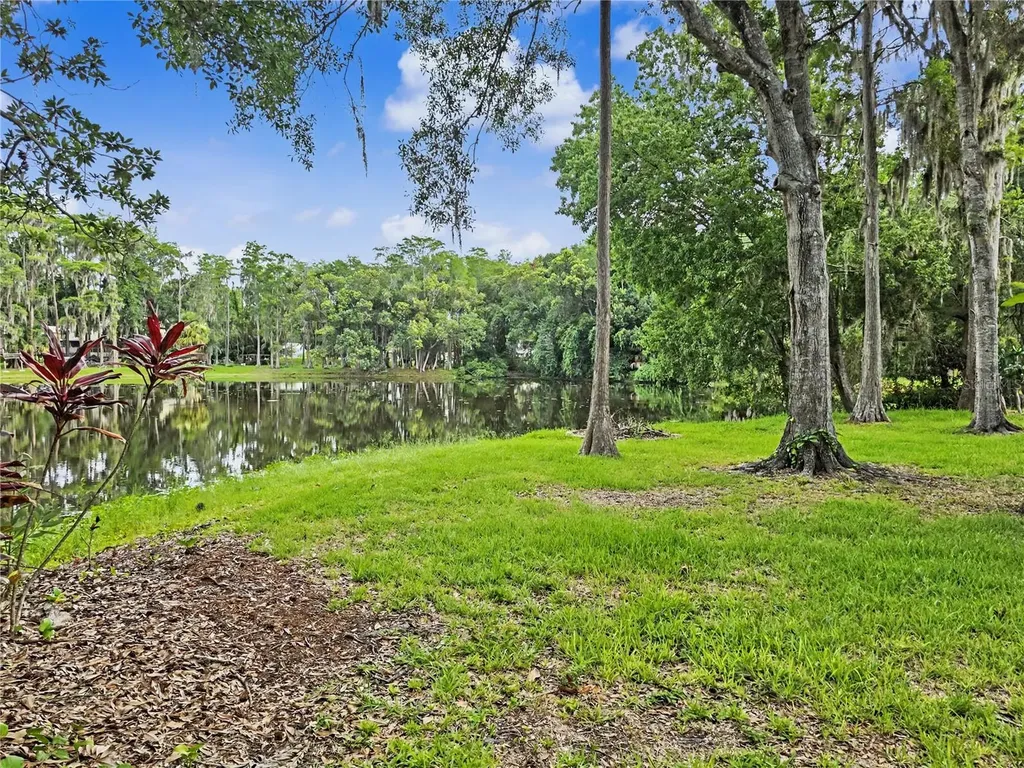 2202 Amity Court New Port Richey FL 34655