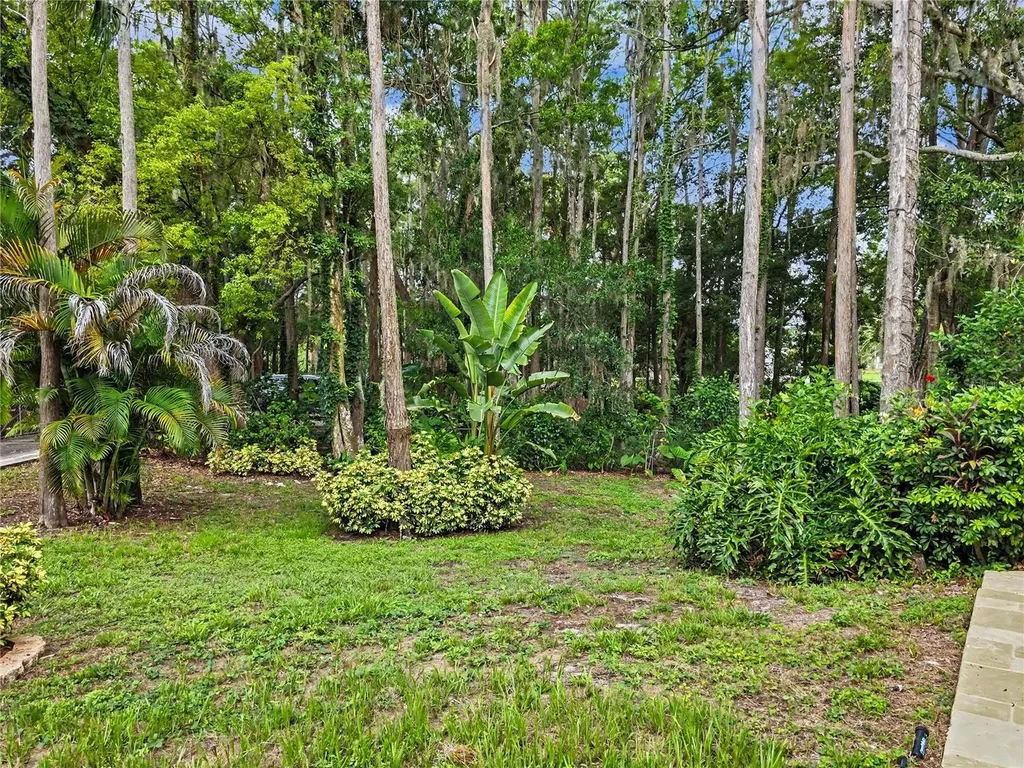 2202 Amity Court New Port Richey FL 34655