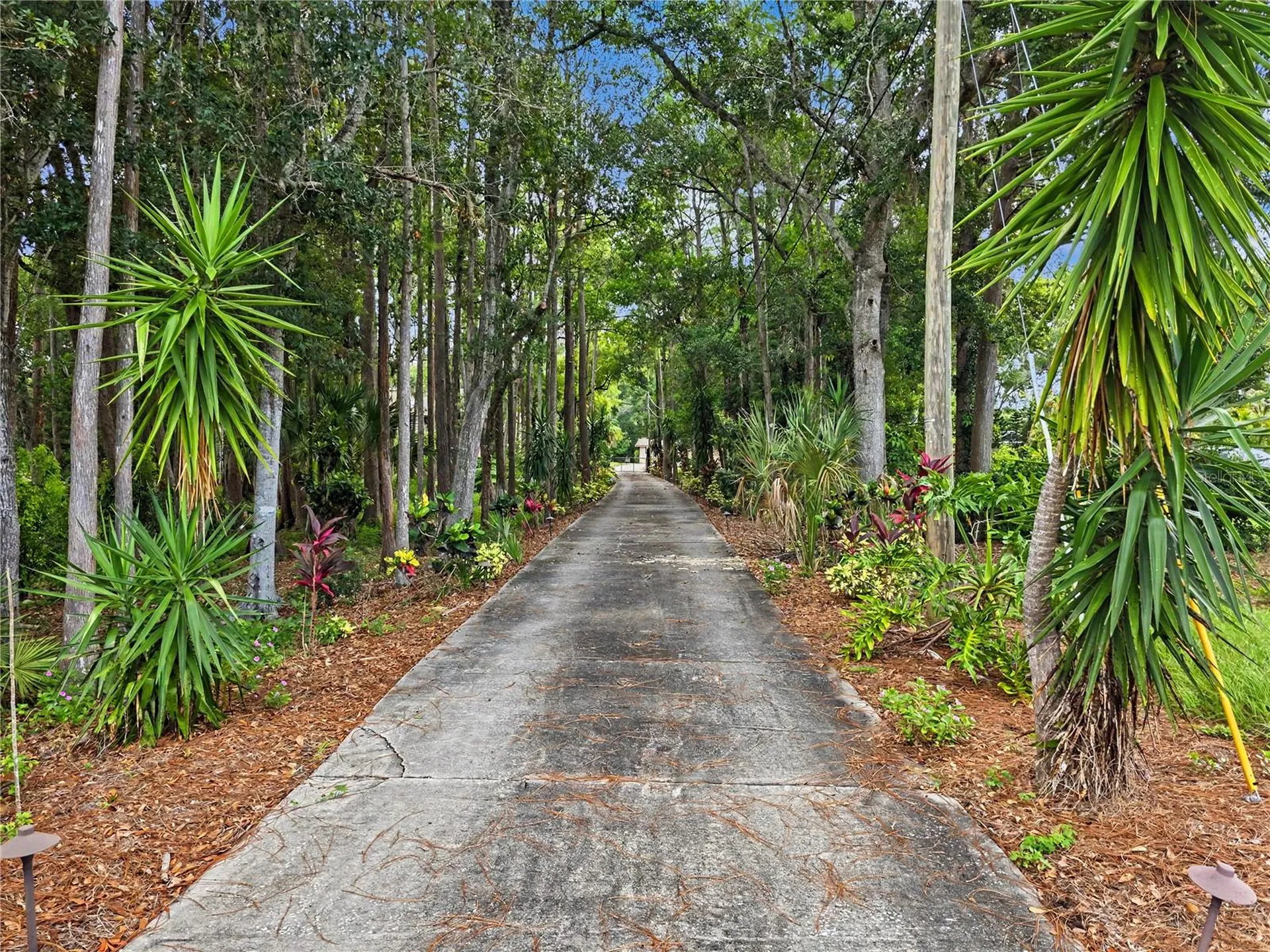 2202 Amity Court New Port Richey FL 34655