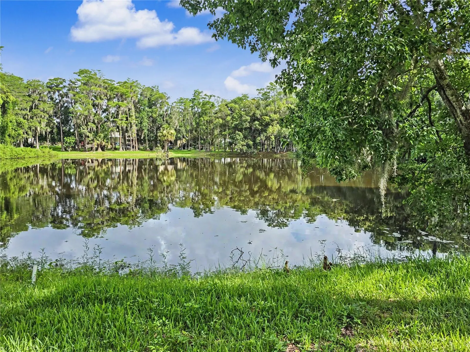 2202 Amity Court New Port Richey FL 34655