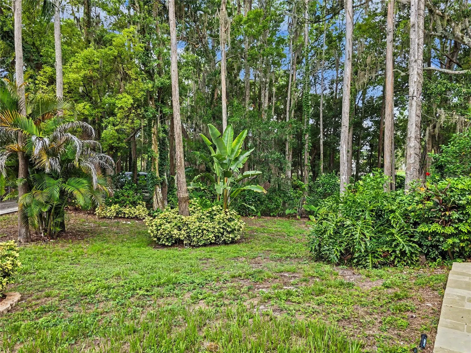 2202 Amity Court New Port Richey FL 34655