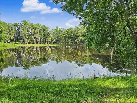 2202 Amity Court New Port Richey FL 34655
