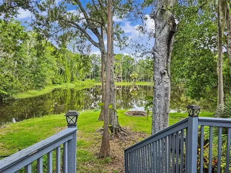 2202 Amity Court New Port Richey FL 34655