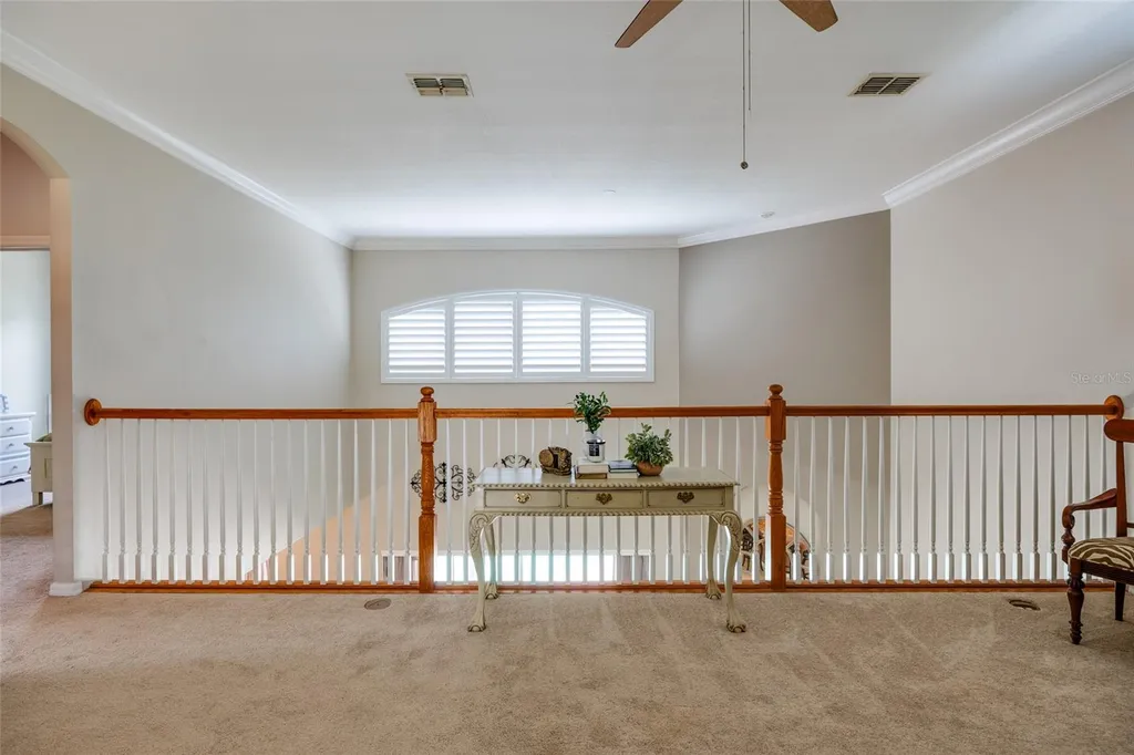 1436 Altamont Lane Odessa FL 33556