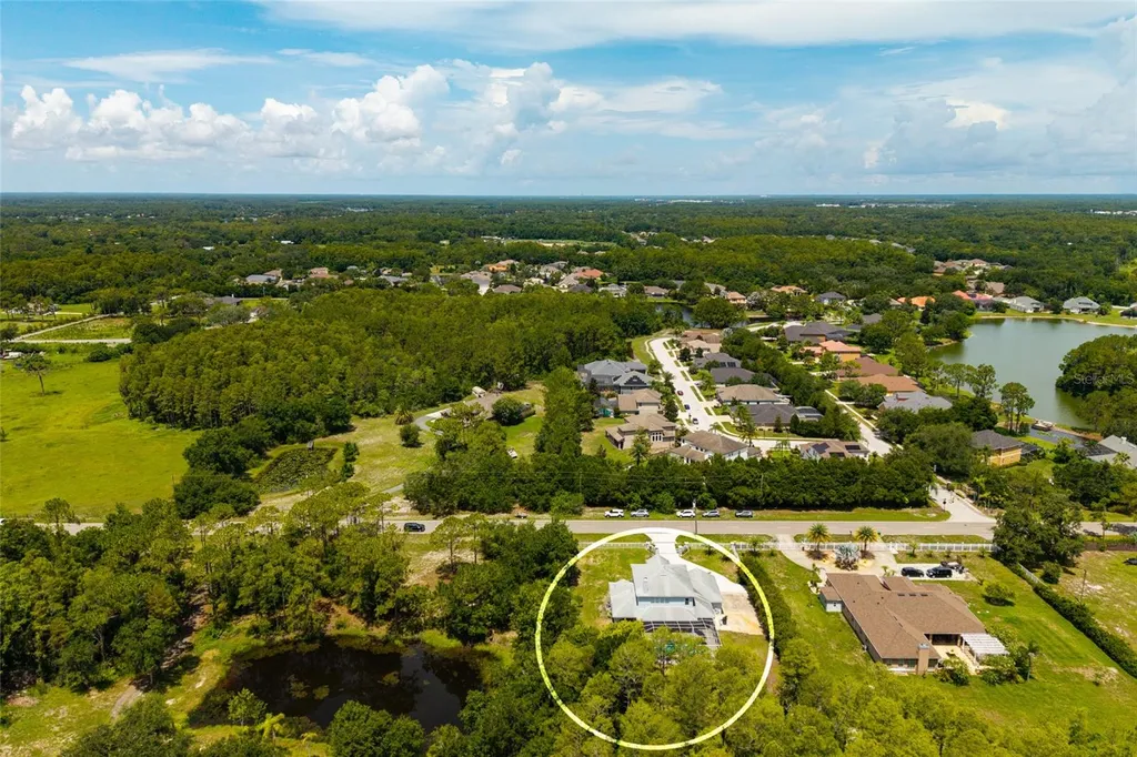 1436 Altamont Lane Odessa FL 33556