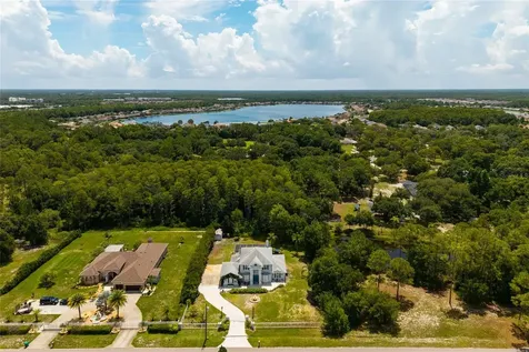 1436 Altamont Lane Odessa FL 33556