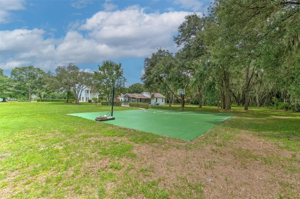 11444 Hammock Oaks Court Lithia FL 33547
