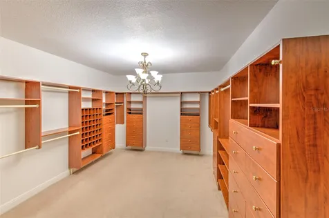 11444 Hammock Oaks Court Lithia FL 33547