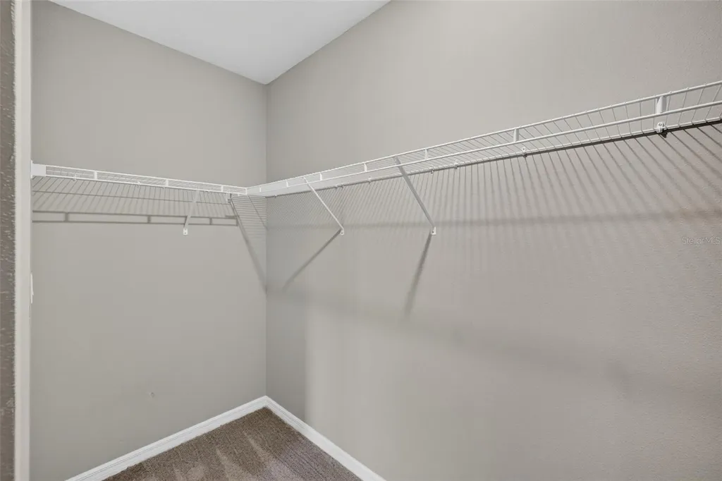 3087 Forrest Plum Court Zephyrhills FL 33540