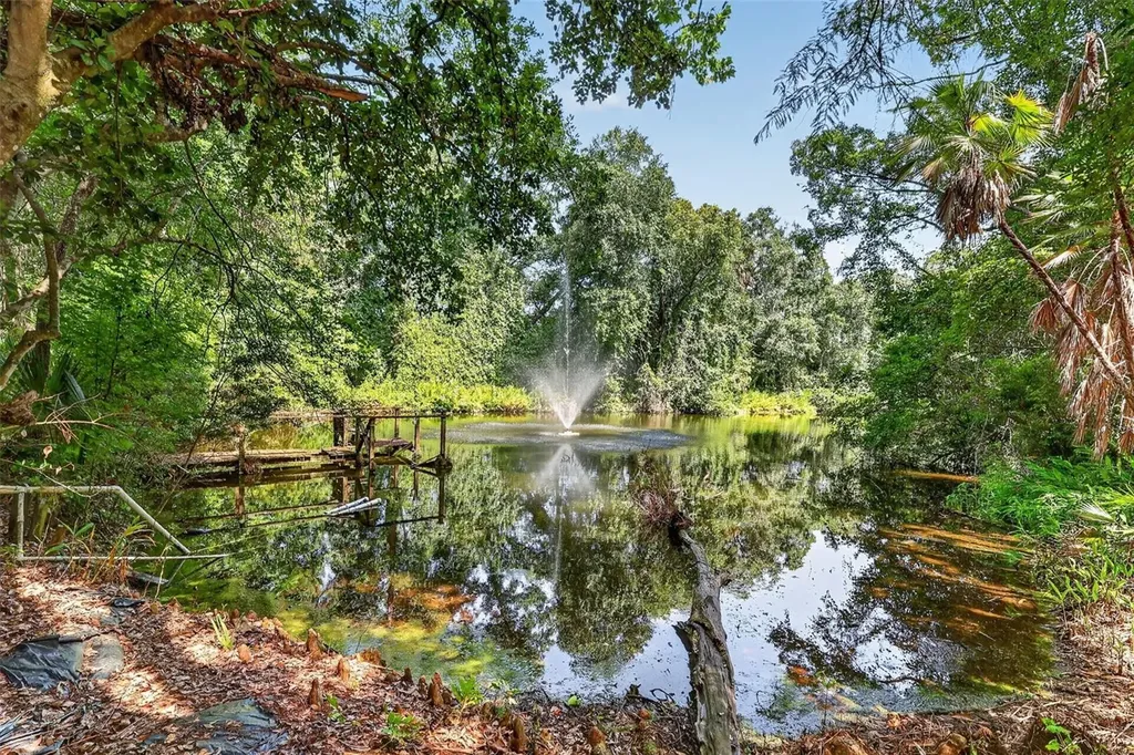 22740 County Road 44a Eustis FL 32736