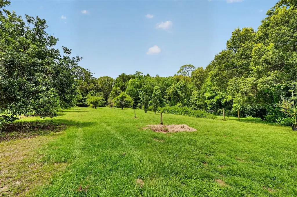 22740 County Road 44a Eustis FL 32736