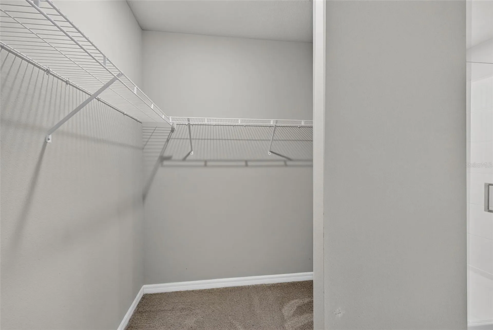 3087 Forrest Plum Court Zephyrhills FL 33540