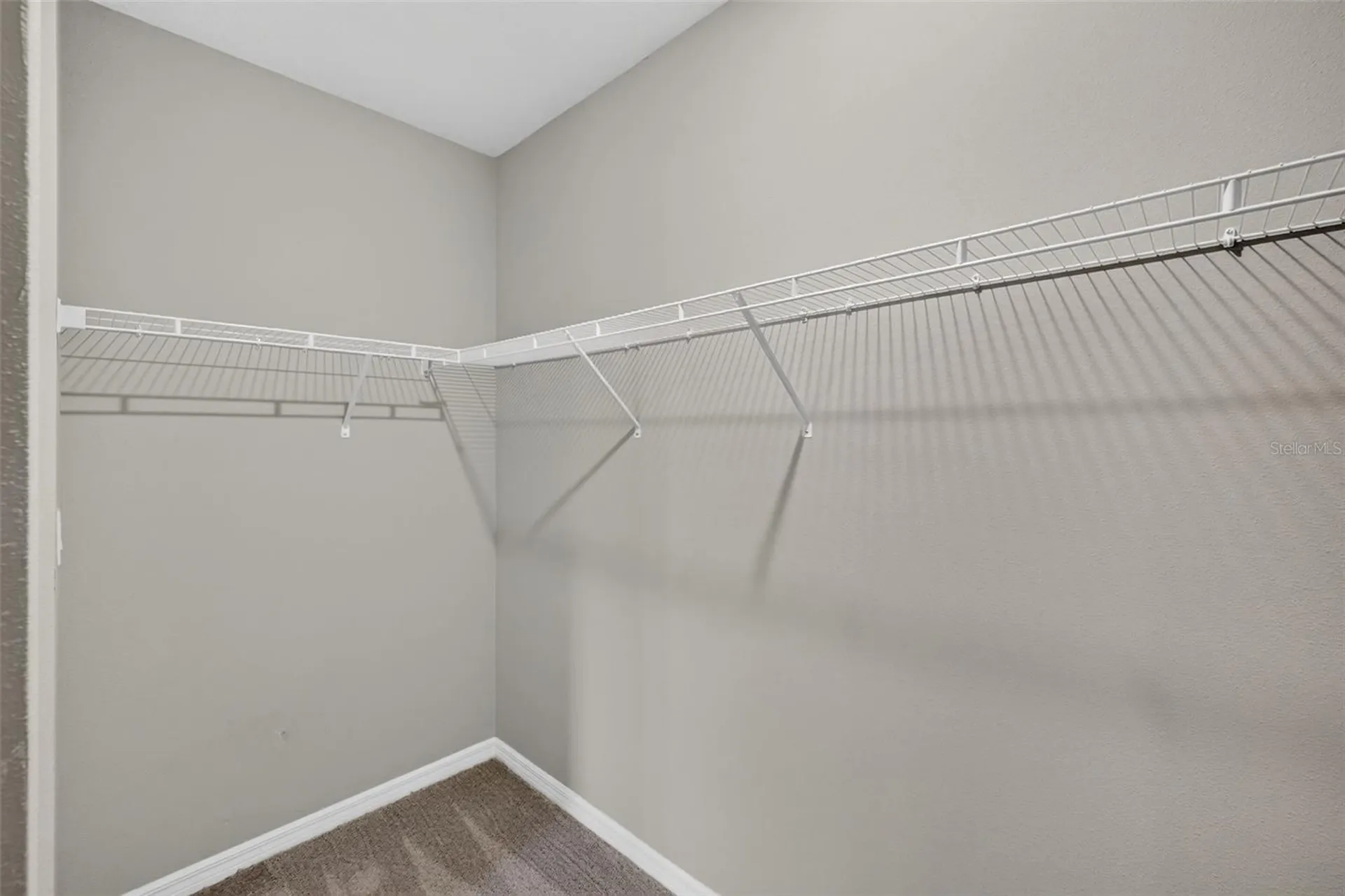3087 Forrest Plum Court Zephyrhills FL 33540