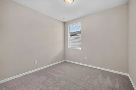 3087 Forrest Plum Court Zephyrhills FL 33540