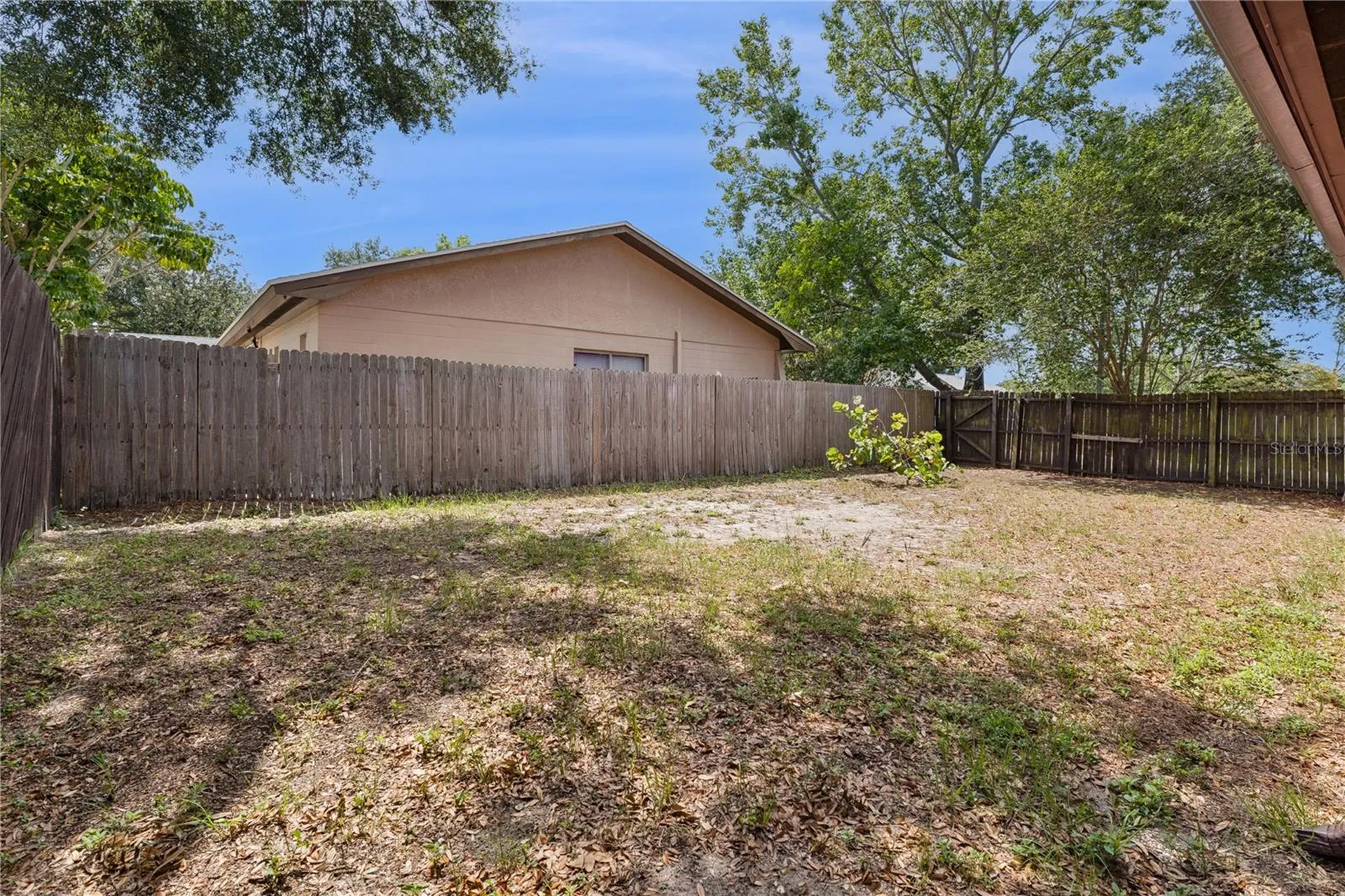1907 Grove Valley Avenue Palm Harbor FL 34683