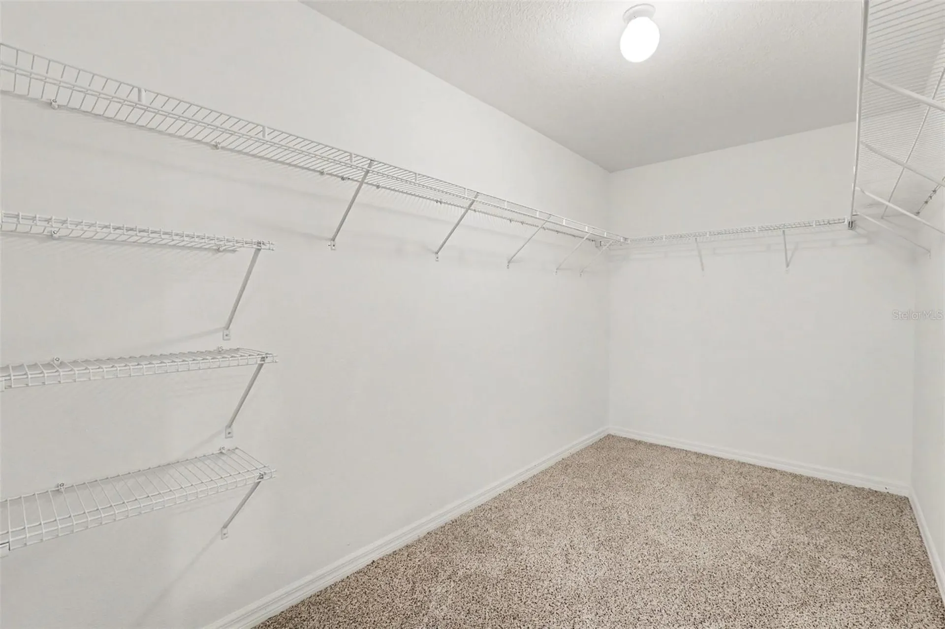 204 English Channel Place Dover FL 33527