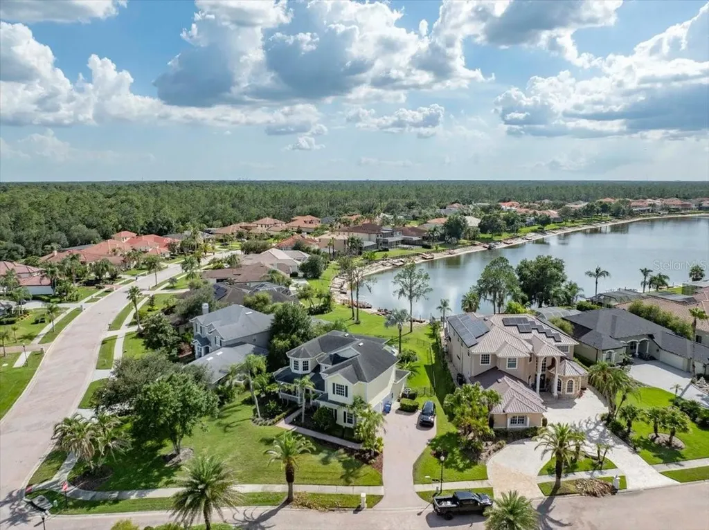 17802 Saint Lucia Isle Drive Tampa FL 33647