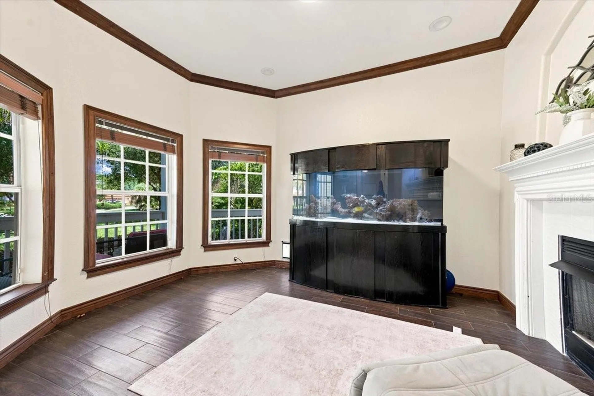 17802 Saint Lucia Isle Drive Tampa FL 33647