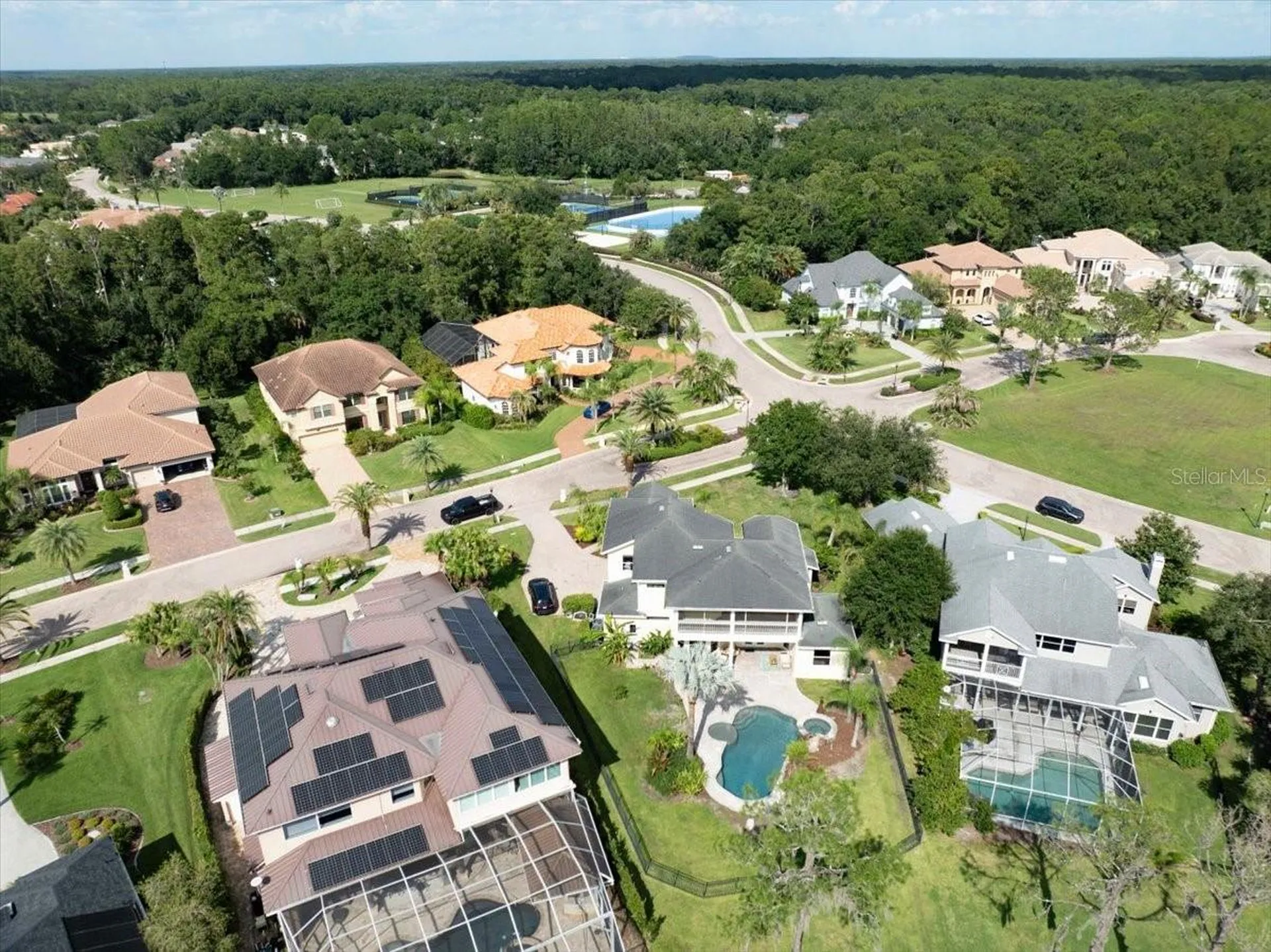 17802 Saint Lucia Isle Drive Tampa FL 33647