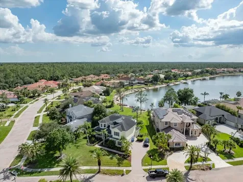 17802 Saint Lucia Isle Drive Tampa FL 33647