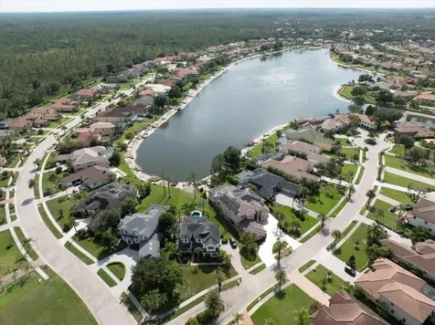17802 Saint Lucia Isle Drive Tampa FL 33647