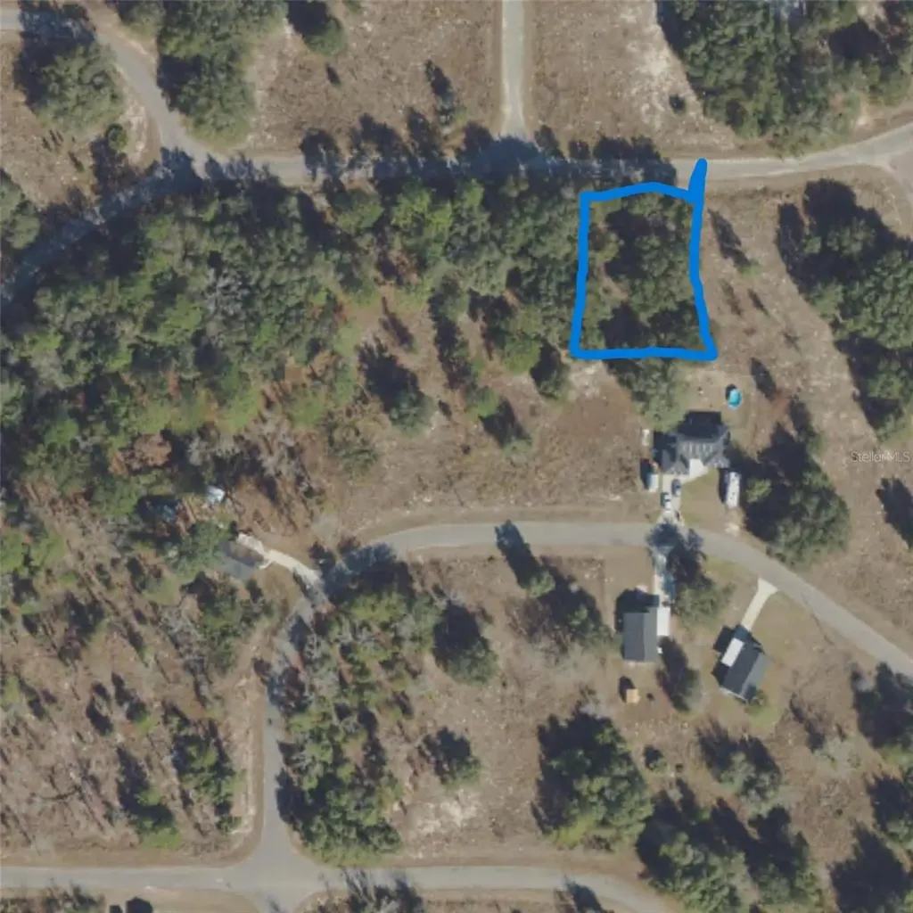 Guava Terrace Ocklawaha FL 32179