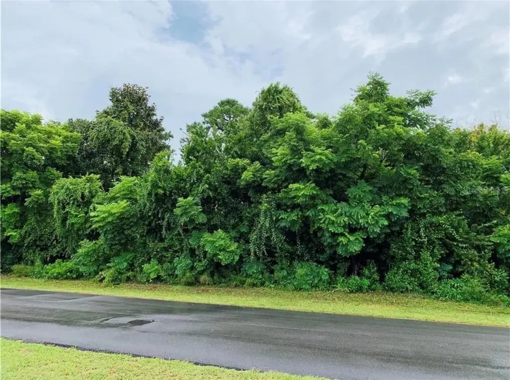 753 N Midland Drive Deltona FL 32725