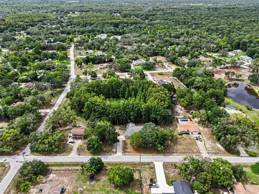 10551 Casey Drive New Port Richey FL 34654